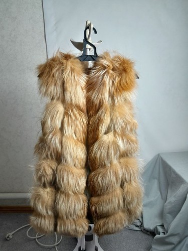 Real red fox - fox, fur