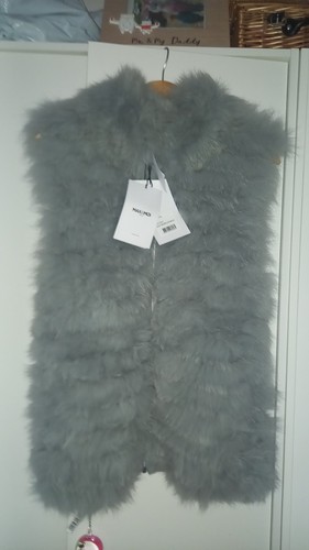 Max moi grey real fox - max,